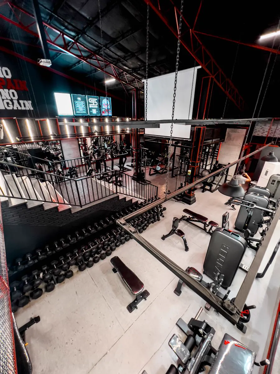 Rows of dumbbells and strength machines on a multi-level gym floor